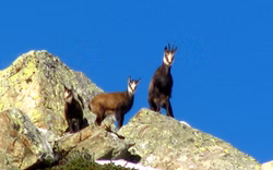 VAL%20PO%20GRESSONEY%20OCT%20NOV%202015%