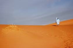 MAROC COPYRIGHT PATRICK MORILLON (8).JPG